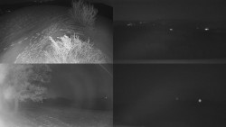 Sdružený snímek Bludný