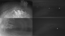 Sdružený snímek Bludný