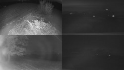 Sdružený snímek Bludný