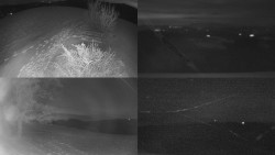 Sdružený snímek Bludný