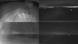 Sdružený snímek Bludný