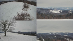 Sdružený snímek Bludný