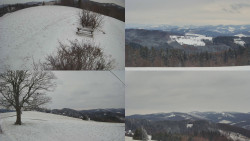 Sdružený snímek Bludný