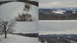 Sdružený snímek Bludný