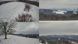 Sdružený snímek Bludný