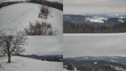 Sdružený snímek Bludný