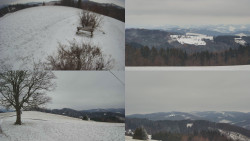 Sdružený snímek Bludný