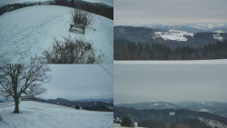 Sdružený snímek Bludný