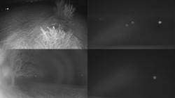 Sdružený snímek Bludný