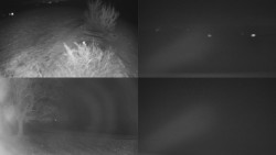 Sdružený snímek Bludný