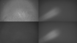 Sdružený snímek Bludný