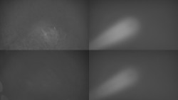 Sdružený snímek Bludný