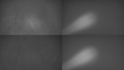 Sdružený snímek Bludný