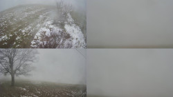 Sdružený snímek Bludný