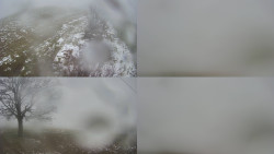 Sdružený snímek Bludný