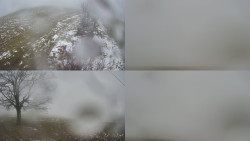 Sdružený snímek Bludný