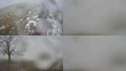 Sdružený snímek Bludný