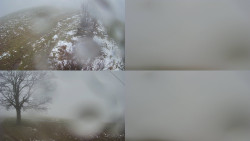 Sdružený snímek Bludný