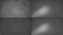 Sdružený snímek Bludný