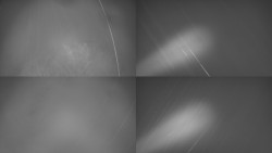 Sdružený snímek Bludný