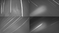 Sdružený snímek Bludný