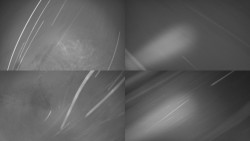 Sdružený snímek Bludný