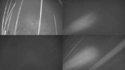 Sdružený snímek Bludný