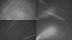 Sdružený snímek Bludný