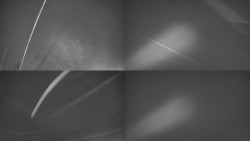 Sdružený snímek Bludný