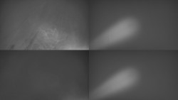 Sdružený snímek Bludný