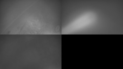 Sdružený snímek Bludný