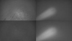 Sdružený snímek Bludný