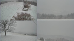 Sdružený snímek Bludný