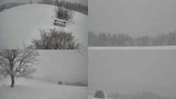 Sdružený snímek Bludný