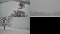 Sdružený snímek Bludný