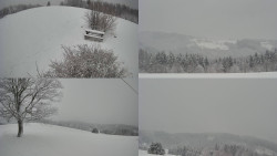 Sdružený snímek Bludný