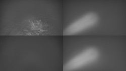 Sdružený snímek Bludný