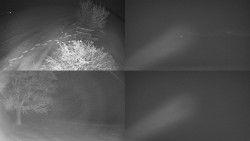 Sdružený snímek Bludný