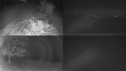 Sdružený snímek Bludný