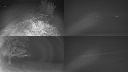 Sdružený snímek Bludný