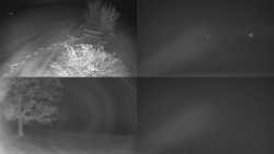 Sdružený snímek Bludný