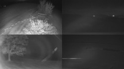 Sdružený snímek Bludný