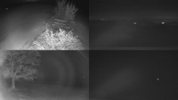 Sdružený snímek Bludný