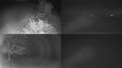 Sdružený snímek Bludný