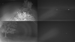 Sdružený snímek Bludný