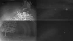 Sdružený snímek Bludný