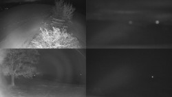 Sdružený snímek Bludný