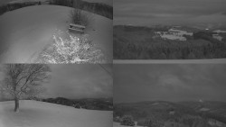 Sdružený snímek Bludný