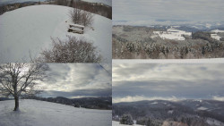 Sdružený snímek Bludný