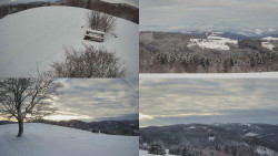 Sdružený snímek Bludný